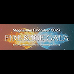 Read more about the article Singnasium Fundraiser 2023: Fire & Ice Gala